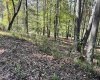 534 Millstone Road, Crawford, West Virginia 26343, 3 Bedroom Bedrooms, 7 Room Rooms,1 BathroomBathrooms,Single Family Detached,For Sale,Millstone,0,10167209