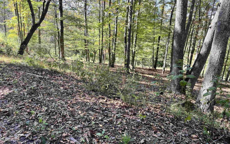 534 Millstone Road, Crawford, West Virginia 26343, 3 Bedroom Bedrooms, 7 Room Rooms,1 BathroomBathrooms,Single Family Detached,For Sale,Millstone,0,10167209
