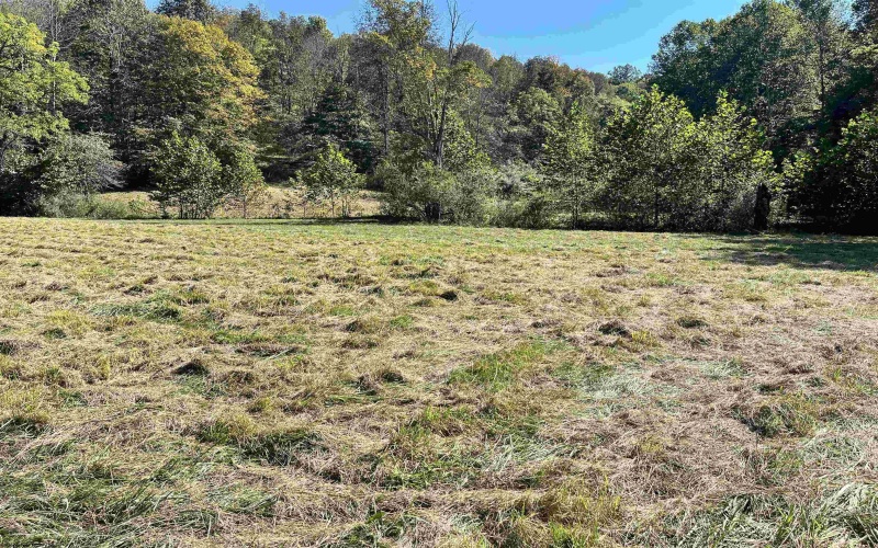 534 Millstone Road, Crawford, West Virginia 26343, 3 Bedroom Bedrooms, 7 Room Rooms,1 BathroomBathrooms,Single Family Detached,For Sale,Millstone,0,10167209