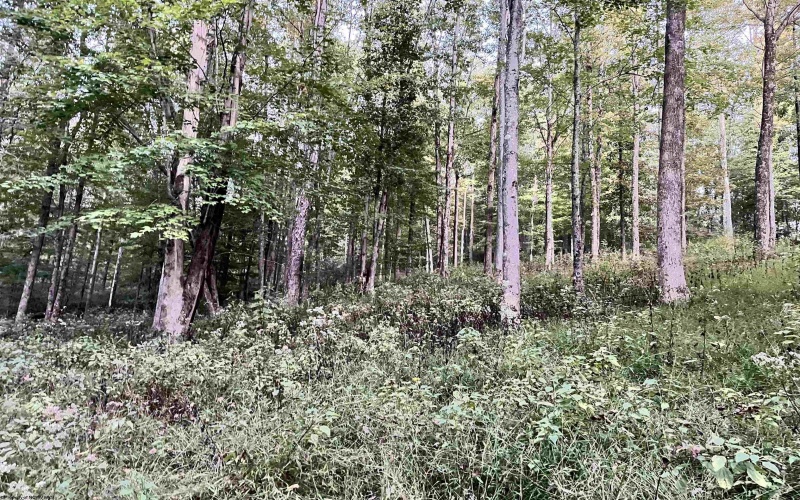 534 Millstone Road, Crawford, West Virginia 26343, 3 Bedroom Bedrooms, 7 Room Rooms,1 BathroomBathrooms,Single Family Detached,For Sale,Millstone,0,10167209