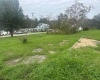 603 State Avenue, Terra Alta, West Virginia 26764, 0 , 0 ,0,Lots/land,For Sale,State,0,10167223 603 State Avenue, Terra Alta, West Virginia 26764, 0 , 0 ,0,Lots/land,For Sale,State,0,10167223