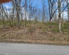 TBD Buffalo Creek Road, Lost Creek, West Virginia 26385, 0 , 0 ,0,Lots/land,For Sale,Buffalo Creek,0,10164002
