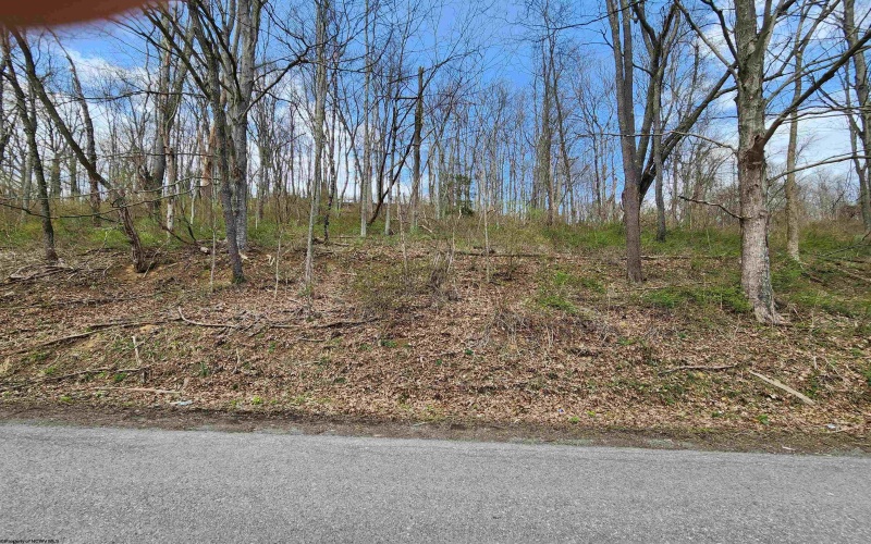 TBD Buffalo Creek Road, Lost Creek, West Virginia 26385, 0 , 0 ,0,Lots/land,For Sale,Buffalo Creek,0,10164002
