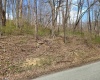 TBD Buffalo Creek Road, Lost Creek, West Virginia 26385, 0 , 0 ,0,Lots/land,For Sale,Buffalo Creek,0,10164002