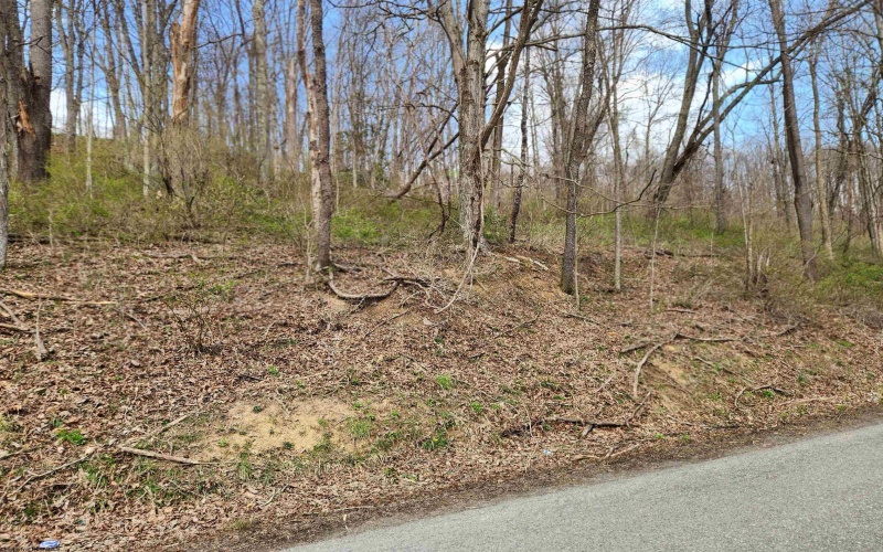 TBD Buffalo Creek Road, Lost Creek, West Virginia 26385, 0 , 0 ,0,Lots/land,For Sale,Buffalo Creek,0,10164002