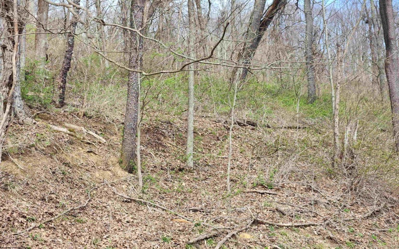 TBD Buffalo Creek Road, Lost Creek, West Virginia 26385, 0 , 0 ,0,Lots/land,For Sale,Buffalo Creek,0,10164002