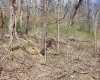 TBD Buffalo Creek Road, Lost Creek, West Virginia 26385, 0 , 0 ,0,Lots/land,For Sale,Buffalo Creek,0,10164002