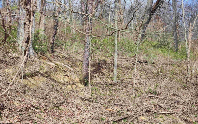 TBD Buffalo Creek Road, Lost Creek, West Virginia 26385, 0 , 0 ,0,Lots/land,For Sale,Buffalo Creek,0,10164002