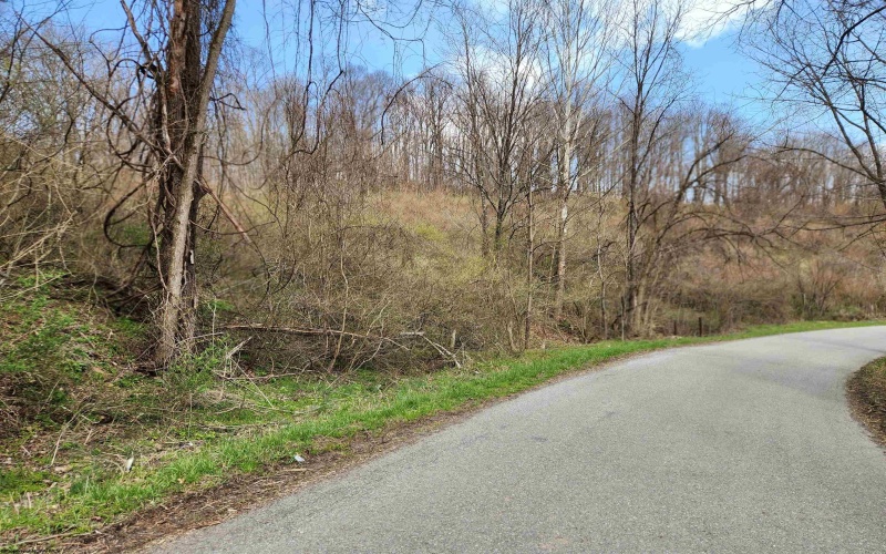 TBD Buffalo Creek Road, Lost Creek, West Virginia 26385, 0 , 0 ,0,Lots/land,For Sale,Buffalo Creek,0,10164002