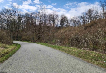 TBD Buffalo Creek Road, Lost Creek, West Virginia 26385, 0 , 0 ,0,Lots/land,For Sale,Buffalo Creek,0,10164002