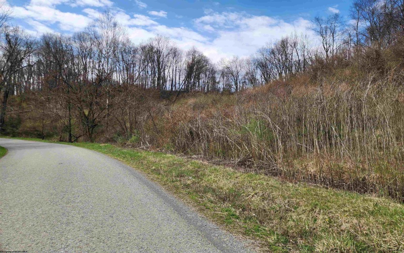 TBD Buffalo Creek Road, Lost Creek, West Virginia 26385, 0 , 0 ,0,Lots/land,For Sale,Buffalo Creek,0,10164002
