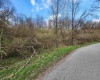 TBD Buffalo Creek Road, Lost Creek, West Virginia 26385, 0 , 0 ,0,Lots/land,For Sale,Buffalo Creek,0,10164002