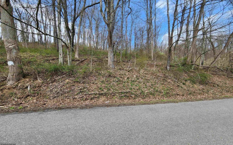 TBD Buffalo Creek Road, Lost Creek, West Virginia 26385, 0 , 0 ,0,Lots/land,For Sale,Buffalo Creek,0,10164002