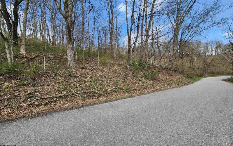 TBD Buffalo Creek Road, Lost Creek, West Virginia 26385, 0 , 0 ,0,Lots/land,For Sale,Buffalo Creek,0,10164002