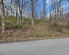 TBD Buffalo Creek Road, Lost Creek, West Virginia 26385, 0 , 0 ,0,Lots/land,For Sale,Buffalo Creek,0,10164002