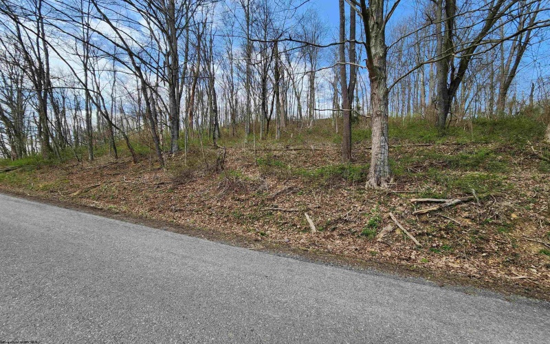 TBD Buffalo Creek Road, Lost Creek, West Virginia 26385, 0 , 0 ,0,Lots/land,For Sale,Buffalo Creek,0,10164002