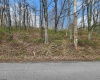 TBD Buffalo Creek Road, Lost Creek, West Virginia 26385, 0 , 0 ,0,Lots/land,For Sale,Buffalo Creek,0,10164002