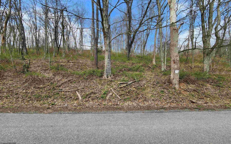 TBD Buffalo Creek Road, Lost Creek, West Virginia 26385, 0 , 0 ,0,Lots/land,For Sale,Buffalo Creek,0,10164002