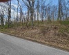 TBD Buffalo Creek Road, Lost Creek, West Virginia 26385, 0 , 0 ,0,Lots/land,For Sale,Buffalo Creek,0,10164002