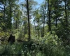 TBD Hagans Road, Rivesville, West Virginia 26588, 0 , 0 ,0,Lots/land,For Sale,Hagans,0,10166949