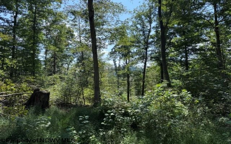 TBD Hagans Road, Rivesville, West Virginia 26588, 0 , 0 ,0,Lots/land,For Sale,Hagans,0,10166949