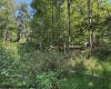 TBD Hagans Road, Rivesville, West Virginia 26588, 0 , 0 ,0,Lots/land,For Sale,Hagans,0,10166949