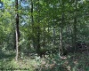 TBD Hagans Road, Rivesville, West Virginia 26588, 0 , 0 ,0,Lots/land,For Sale,Hagans,0,10166949