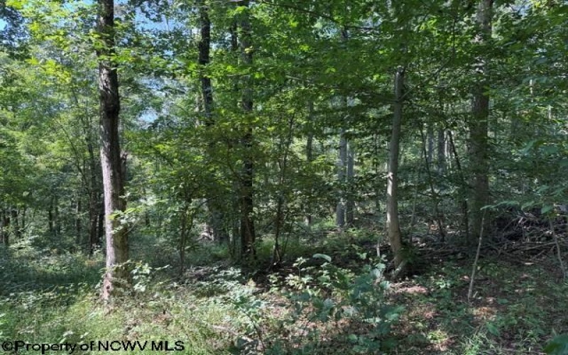 TBD Hagans Road, Rivesville, West Virginia 26588, 0 , 0 ,0,Lots/land,For Sale,Hagans,0,10166949