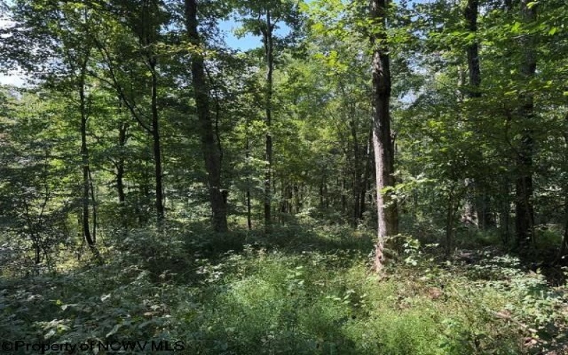 TBD Hagans Road, Rivesville, West Virginia 26588, 0 , 0 ,0,Lots/land,For Sale,Hagans,0,10166949