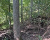 TBD Hagans Road, Rivesville, West Virginia 26588, 0 , 0 ,0,Lots/land,For Sale,Hagans,0,10166949