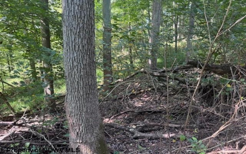 TBD Hagans Road, Rivesville, West Virginia 26588, 0 , 0 ,0,Lots/land,For Sale,Hagans,0,10166949