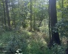 TBD Hagans Road, Rivesville, West Virginia 26588, 0 , 0 ,0,Lots/land,For Sale,Hagans,0,10166949
