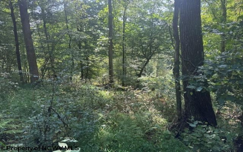 TBD Hagans Road, Rivesville, West Virginia 26588, 0 , 0 ,0,Lots/land,For Sale,Hagans,0,10166949