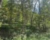 TBD Hagans Road, Rivesville, West Virginia 26588, 0 , 0 ,0,Lots/land,For Sale,Hagans,0,10166949