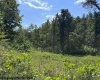 TBD Hagans Road, Rivesville, West Virginia 26588, 0 , 0 ,0,Lots/land,For Sale,Hagans,0,10166949