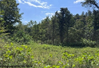 TBD Hagans Road, Rivesville, West Virginia 26588, 0 , 0 ,0,Lots/land,For Sale,Hagans,0,10166949