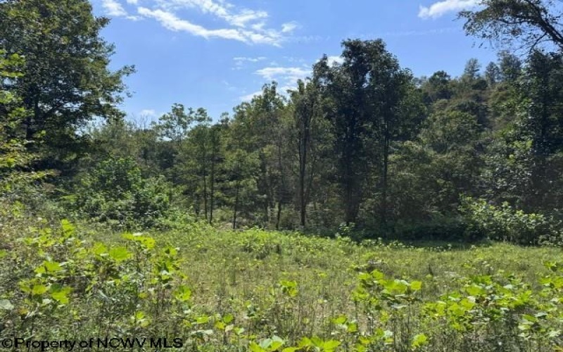 TBD Hagans Road, Rivesville, West Virginia 26588, 0 , 0 ,0,Lots/land,For Sale,Hagans,0,10166949