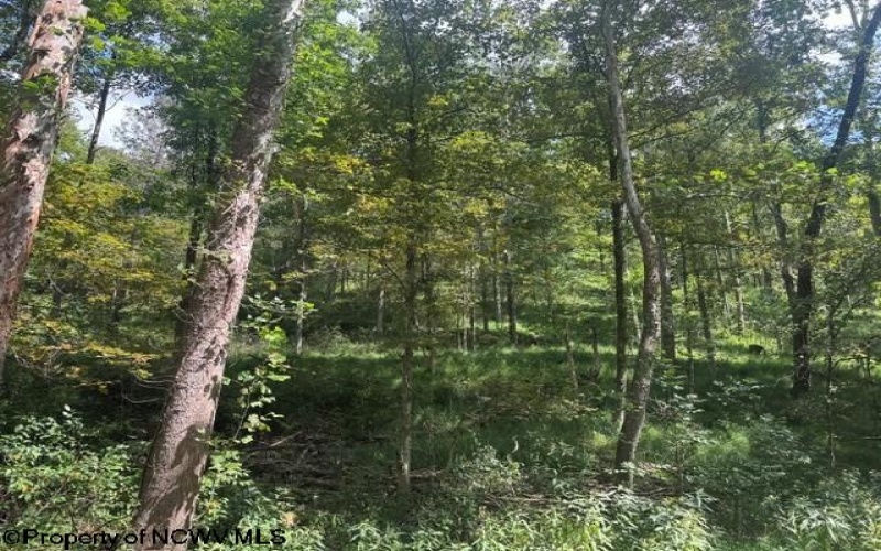 TBD Hagans Road, Rivesville, West Virginia 26588, 0 , 0 ,0,Lots/land,For Sale,Hagans,0,10166949