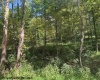 TBD Hagans Road, Rivesville, West Virginia 26588, 0 , 0 ,0,Lots/land,For Sale,Hagans,0,10166949