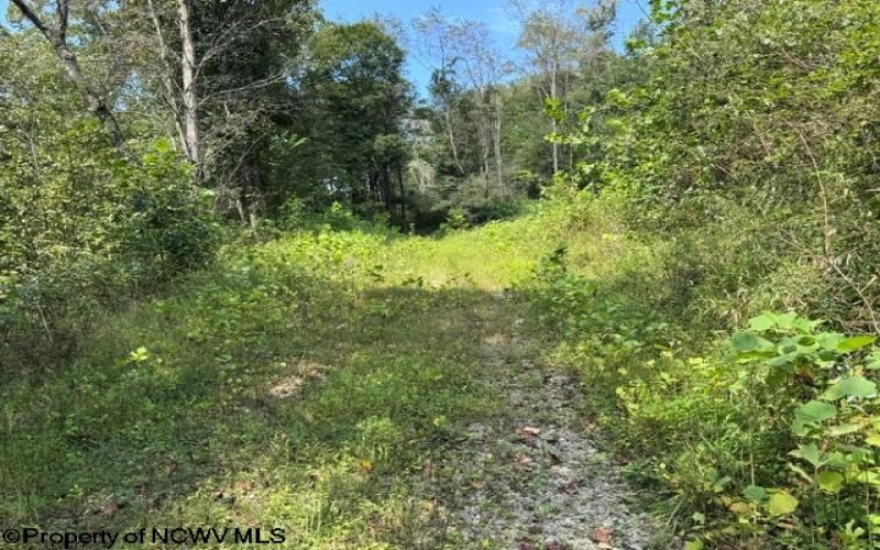 TBD Hagans Road, Rivesville, West Virginia 26588, 0 , 0 ,0,Lots/land,For Sale,Hagans,0,10166949