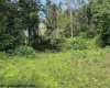 TBD Hagans Road, Rivesville, West Virginia 26588, 0 , 0 ,0,Lots/land,For Sale,Hagans,0,10166949