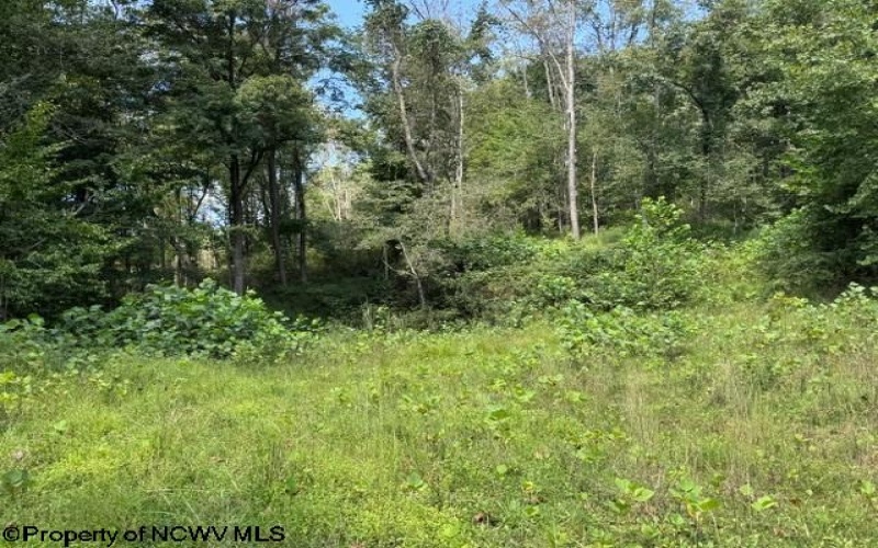 TBD Hagans Road, Rivesville, West Virginia 26588, 0 , 0 ,0,Lots/land,For Sale,Hagans,0,10166949