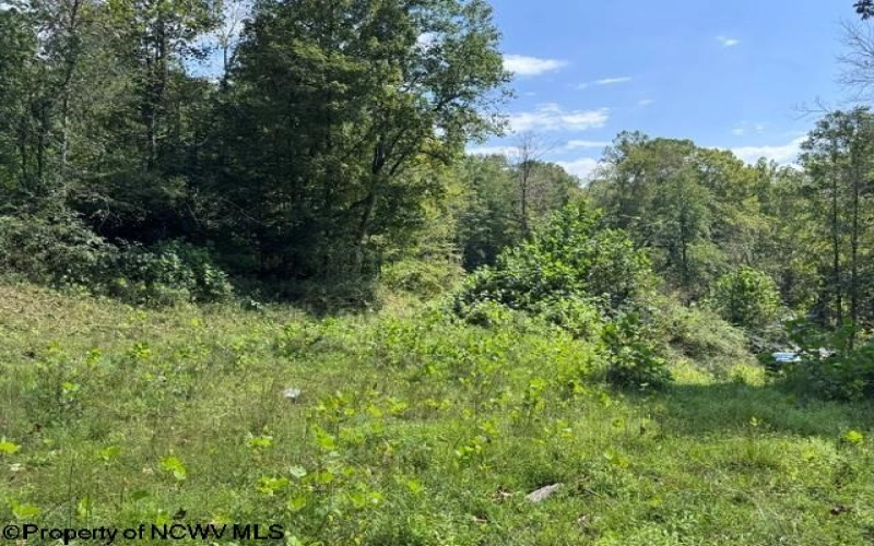 TBD Hagans Road, Rivesville, West Virginia 26588, 0 , 0 ,0,Lots/land,For Sale,Hagans,0,10166949