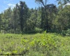 TBD Hagans Road, Rivesville, West Virginia 26588, 0 , 0 ,0,Lots/land,For Sale,Hagans,0,10166949
