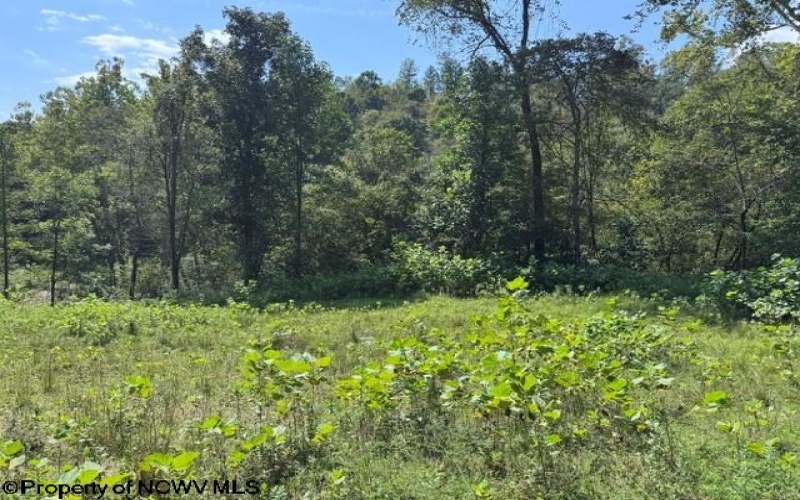 TBD Hagans Road, Rivesville, West Virginia 26588, 0 , 0 ,0,Lots/land,For Sale,Hagans,0,10166949