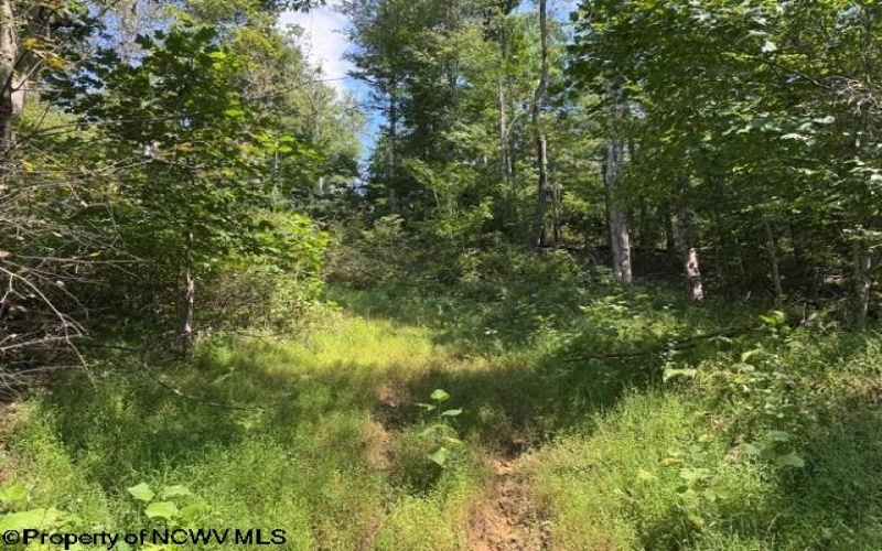 TBD Hagans Road, Rivesville, West Virginia 26588, 0 , 0 ,0,Lots/land,For Sale,Hagans,0,10166949