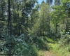 TBD Hagans Road, Rivesville, West Virginia 26588, 0 , 0 ,0,Lots/land,For Sale,Hagans,0,10166949
