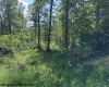 TBD Hagans Road, Rivesville, West Virginia 26588, 0 , 0 ,0,Lots/land,For Sale,Hagans,0,10166949