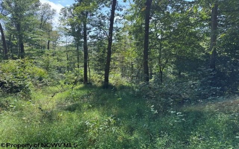 TBD Hagans Road, Rivesville, West Virginia 26588, 0 , 0 ,0,Lots/land,For Sale,Hagans,0,10166949