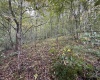 TBD Spencer Street, Flemington, West Virginia 26347, 0 , 0 ,0,Lots/land,For Sale,Spencer,0,10167242